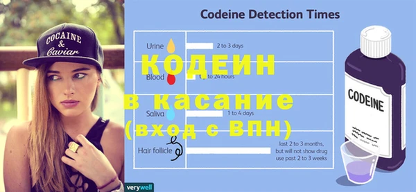 гашик Вяземский