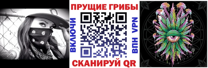 Купить закладки  Билибино  Галлюциногенные грибы мицелий 